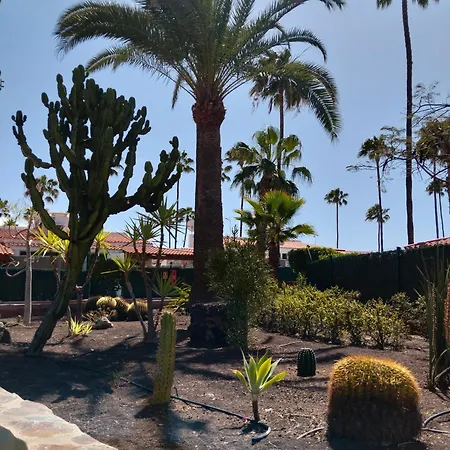 Paradise Maspalomas (Gran Canaria)