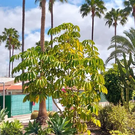 Paradise Feriehus Maspalomas (Gran Canaria)